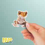 Crested Gecko Sticker | Colorful Crested Gecko Decal for Laptops, Water Bottles & More | Unique Animal Art Decor