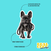 French Bulldog Sticker | Frenchie Sticker | Walk The Dog Sticker