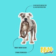 American Bulldog Sticker | Bulldog Sticker | Walk The Dog Sticker