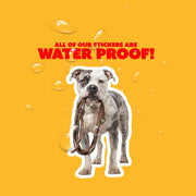 American Bulldog Sticker | Bulldog Sticker | Walk The Dog Sticker
