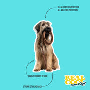 Briard Sticker | Briard Dog Sticker | Walk The Dog Sticker