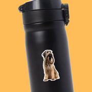 Briard Sticker | Briard Dog Sticker | Walk The Dog Sticker