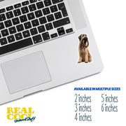 Briard Sticker | Briard Dog Sticker | Walk The Dog Sticker