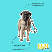 Bull Mastiff Sticker | Bull Mastiff Decal | Walk The Dog Sticker