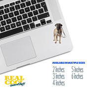 Bull Mastiff Sticker | Bull Mastiff Decal | Walk The Dog Sticker