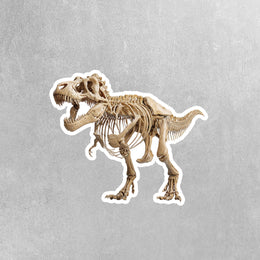 Tyrannosaurus Sticker | T-Rex Decal | Tyrannosaurus Skeleton Sticker