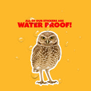 Burrowing Owl Sticker | Owl Sticker | Burrowing Owl Decal