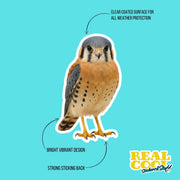 American Kestrel Sticker | American Kestrel Decal | Falcon Sticker