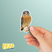 American Kestrel Sticker | American Kestrel Decal | Falcon Sticker