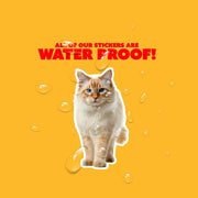 Thai Red Point Cat Sticker | Cat Sticker | Cat Decal