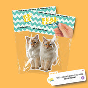 Thai Red Point Cat Sticker | Cat Sticker | Cat Decal