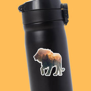 Lion Sticker | Lion Walk Decal | King Of The Jungle Decal