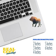 Lion Sticker | Lion Walk Decal | King Of The Jungle Decal