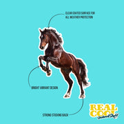 Horse Sticker | Horse Decal | Equestrain Sticker