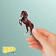 Horse Sticker | Horse Decal | Equestrain Sticker