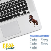 Horse Sticker | Horse Decal | Equestrain Sticker
