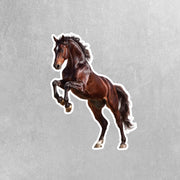 Horse Sticker | Horse Decal | Equestrain Sticker