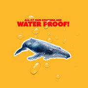 Blue Whale Sticker | Whale Sticker | Whale Decal