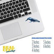 Blue Whale Sticker | Whale Sticker | Whale Decal