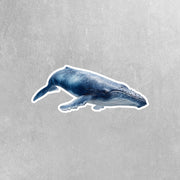 Blue Whale Sticker | Whale Sticker | Whale Decal