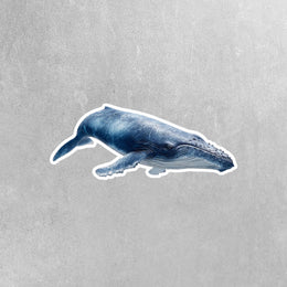 Blue Whale Sticker | Whale Sticker | Whale Decal