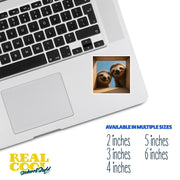 Sloth Sticker | Sloths in a Box Sticker | Sloth Stickers