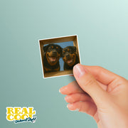 Rottweiler Sticker | Rottweiler Decal | Rotty Sticker