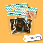 Rottweiler Sticker | Rottweiler Decal | Rotty Sticker