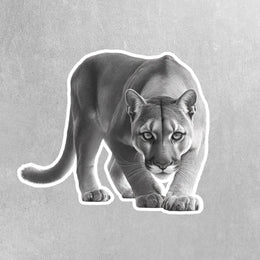 Puma Sticker | Puma Hunting Sticker | Puma Decal