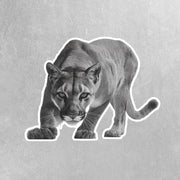 Mountain Lion Sticker | Mountain Lion Hunting Sticker | Mountain Lion Decal
