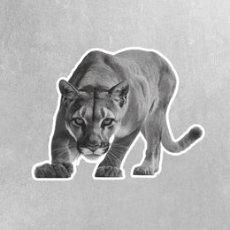 Mountain Lion Sticker | Mountain Lion Hunting Sticker | Mountain Lion Decal