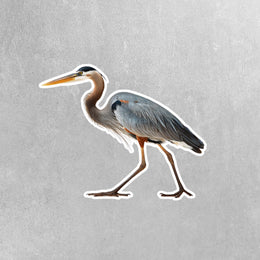 Blue Heron Sticker - Great Blue Heron Decal - Blue Heron Sticker