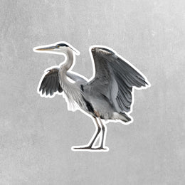 Blue Heron Sticker - Great Blue Heron Decal - Blue Heron Sticker