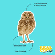 Burrowing Owl Sticker | Owl Sticker | Burrowing Owl Decal
