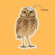 Burrowing Owl Sticker | Owl Sticker | Burrowing Owl Decal