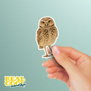 Burrowing Owl Sticker | Owl Sticker | Burrowing Owl Decal