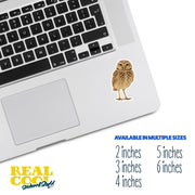 Burrowing Owl Sticker | Owl Sticker | Burrowing Owl Decal