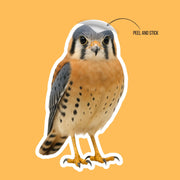 American Kestrel Sticker | American Kestrel Decal | Falcon Sticker