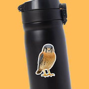 American Kestrel Sticker | American Kestrel Decal | Falcon Sticker