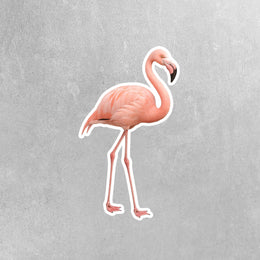 Pink Flamingo Sticker - Pink Flamingo Decal - Flamingo Sticker