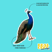 Peacock Sticker - Peacock Decal - Peacock Water Bottle Sticker