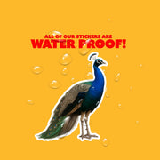Peacock Sticker - Peacock Decal - Peacock Water Bottle Sticker