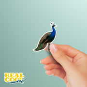 Peacock Sticker - Peacock Decal - Peacock Water Bottle Sticker