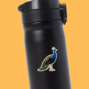 Peacock Sticker - Peacock Decal - Peacock Water Bottle Sticker