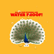 Peacock Sticker - Peacock Decal - Peacock Water Bottle Sticker