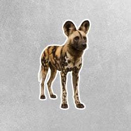 African Wild Dog Sticker - Wild Dog Decal - Wild Dog Water Bottle Sticker