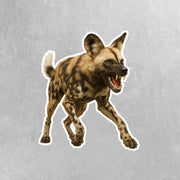 African Wild Dog Sticker - Wild Dog Decal - Wild Dog Water Bottle Sticker