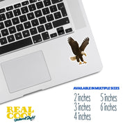 Bald Eagle Sticker | Eagle Sticker | American Eagle Decal