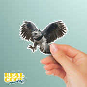 Harpy Eagle Sticker | Harpy Eagle Water Bottle Sticker | Harpy Eagle Decal