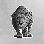 Cheetah Sticker | Cheetah Hunting Sticker | Cheetah Decal